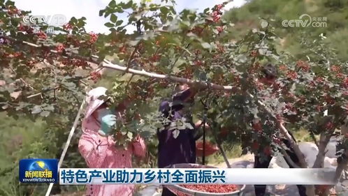 千行百业 拔节向上 巩固好势头 经济高质量发展呈现生动图景